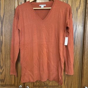 Women's V-Neck Sweater in Burnt orange size small